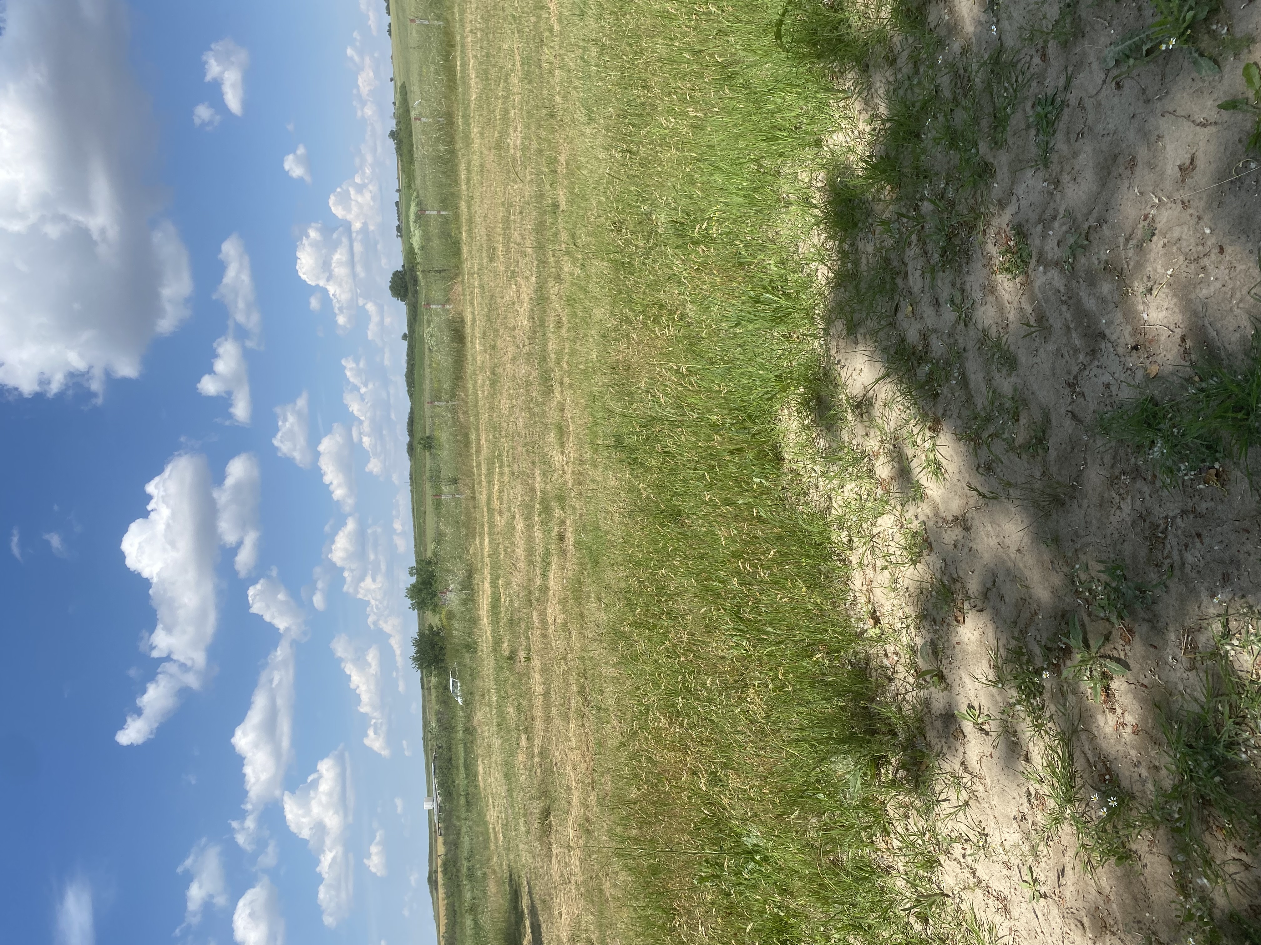 UZUNHACI SATILIK TARLA - HİSSELİ