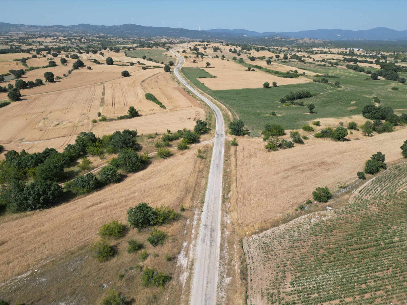 PINARHİSAR SATILIK TARLA (HACIFAKLI)