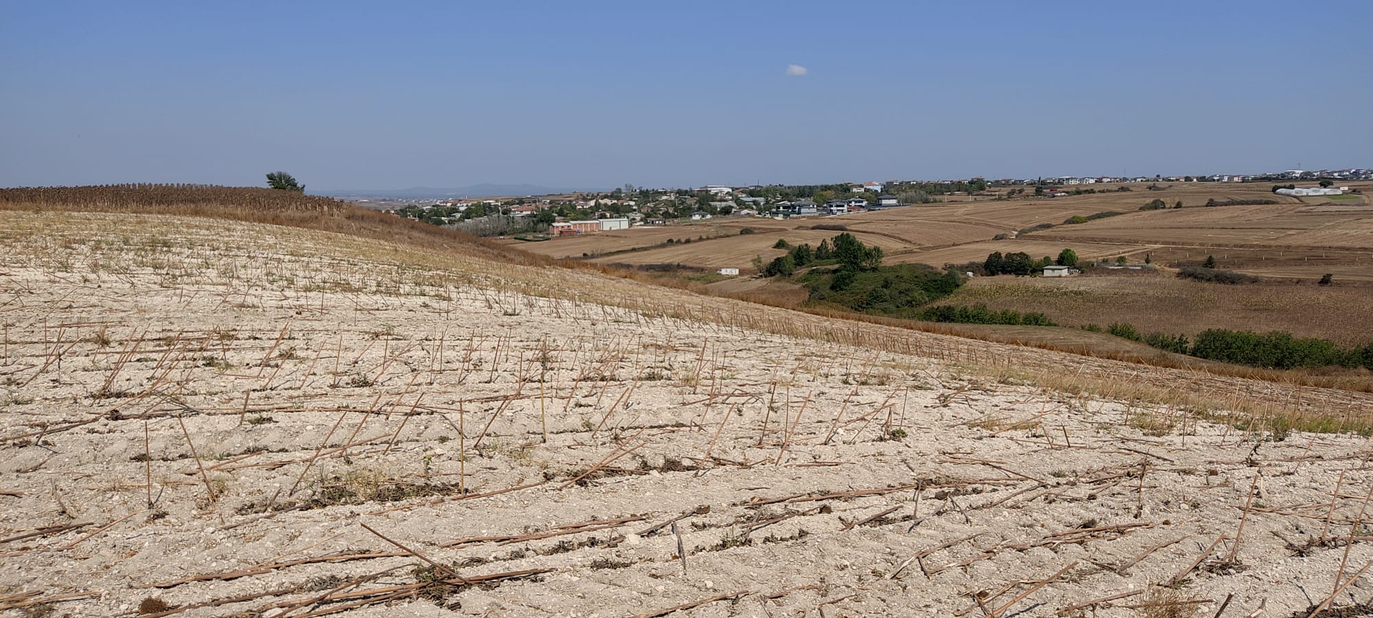 KAPAKLI (BAHÇEAĞIL) TEK TAPU TARLA